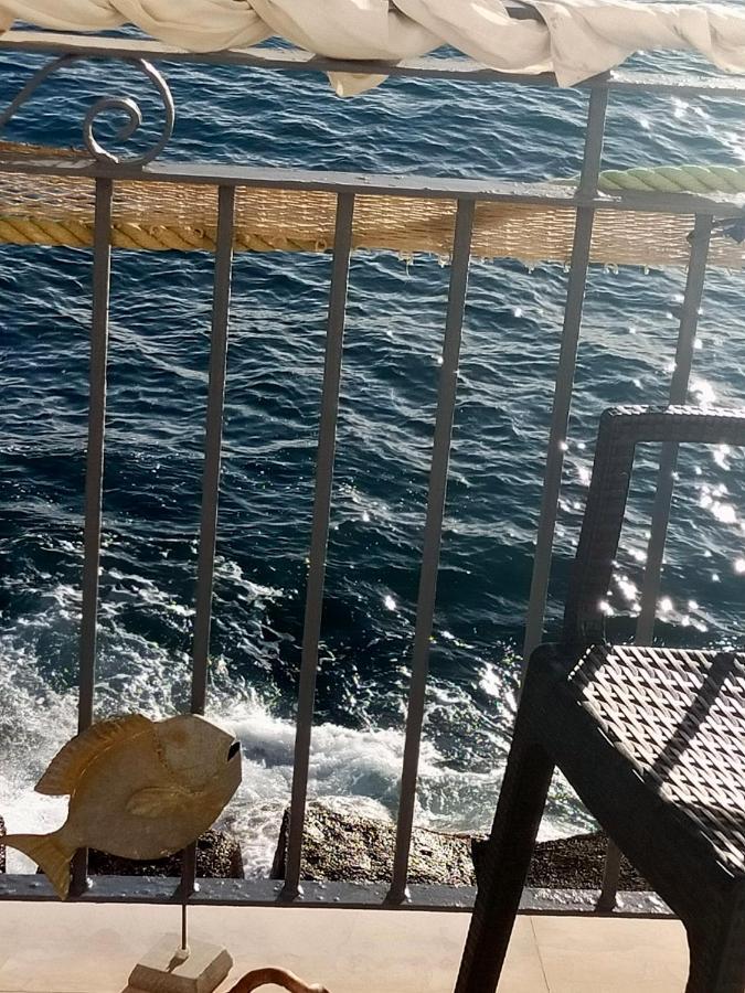 Apartament Casa Adriana Fronte Mare Monopoli Zewnętrze zdjęcie